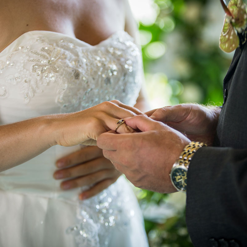 Wedding Package